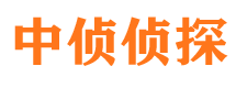 新津侦探公司